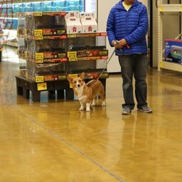 photograph by PeterW